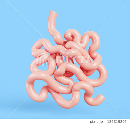 3d anatomy human small intestine medical icon render. Realistic internal body organ of digestive tract, gastroenterology concept. Duodenum, jejunum, ileum isolated on blue background. 3D illustration 3d anatomy human small intestine medical icon render. Realistic internal body organ of digestive tract, gastroenterology concept. Duodenum, jejunum, ileum isolated on blue background. 3D illustration 122819295