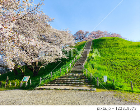 丸墓山古墳の桜(さきたま古墳公園) 丸墓山古墳の桜(さきたま古墳公園) 122819375