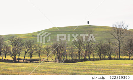 Typical landscape of Tuscany in Italy Europe 122819390