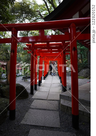 熱海市に鎮座する来宮神社 熱海市に鎮座する来宮神社 122820152