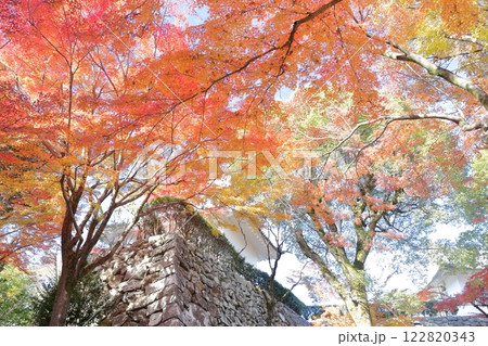 国宝犬山城の美しい紅葉（愛知県 犬山市） 122820343