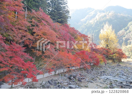 香嵐渓 巴川 紅葉(愛知県 豊田市) 香嵐渓 巴川 紅葉(愛知県 豊田市) 122820868