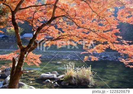 香嵐渓 巴川 紅葉(愛知県 豊田市) 香嵐渓 巴川 紅葉(愛知県 豊田市) 122820879