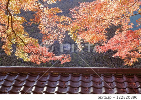 香嵐渓 紅葉(愛知県 豊田市) 香嵐渓 紅葉(愛知県 豊田市) 122820890