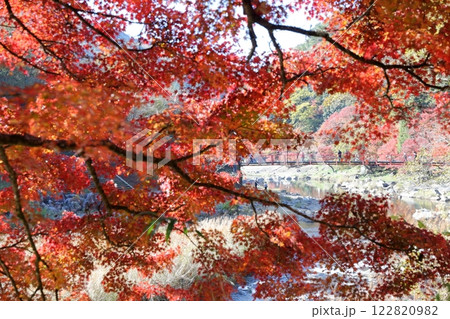 香嵐渓　巴川　紅葉（愛知県 豊田市） 122820982