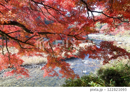 香嵐渓　巴川　紅葉（愛知県 豊田市） 122821093