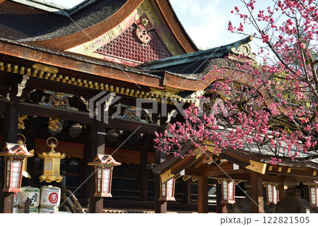 北野天満宮　神木「飛梅」と拝殿(京都市上京区) 122821505