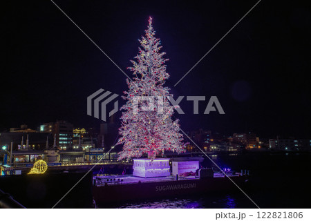 函館の紫のクリスマスツリー 122821806