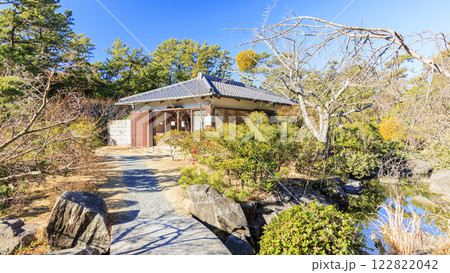 葉山しおさい公園の冬 122822042