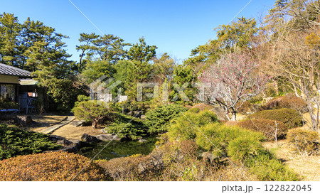 葉山しおさい公園の冬 122822045