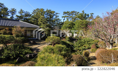 葉山しおさい公園の冬 122822046