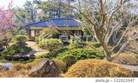 葉山しおさい公園の冬 122822047