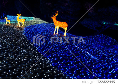 2025年 なら瑠璃絵 会場入り口近くにある鹿のオブジェ① 2025年 なら瑠璃絵 会場入り口近くにある鹿のオブジェ① 122822445