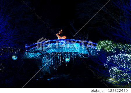 2025年　なら瑠璃絵　美しい光の橋の上にいる雄鹿 122822450