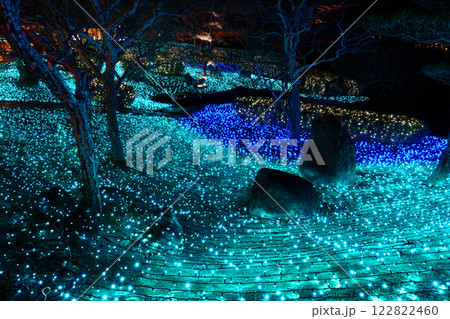 2025年 なら瑠璃絵 光の絨毯を敷き詰めた落葉樹の林① 2025年 なら瑠璃絵 光の絨毯を敷き詰めた落葉樹の林① 122822460