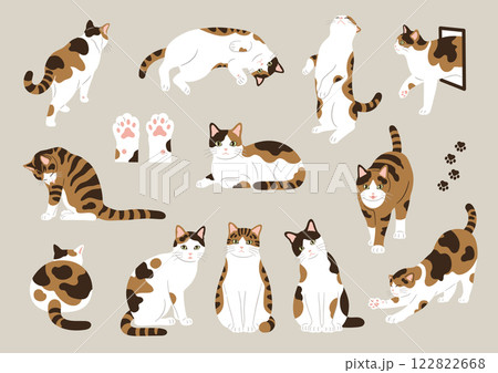 三毛猫のイラスト素材セット 122822668