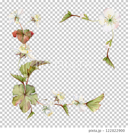 Spring white apple cherry sakura flowers with leaves, forest cloudberry anemone primrose ephemera, hand drawn in watercolor. Corner frame isolated illustration, for wedding, florist shop, scrapbooking 122822900