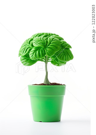 Human brain green plant in the pot. Natural intelligence, growth and prosperity concept. Generative Ai 122823003