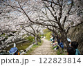 夙川沿いの桜並木 122823814