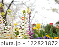 春のカラフルな花々 122823872