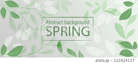 Spring abstract banner featuring delicate leaves and soft pastel green colors for seasonal decoration Spring abstract banner featuring delicate leaves and soft pastel green colors for seasonal decoration 122824117