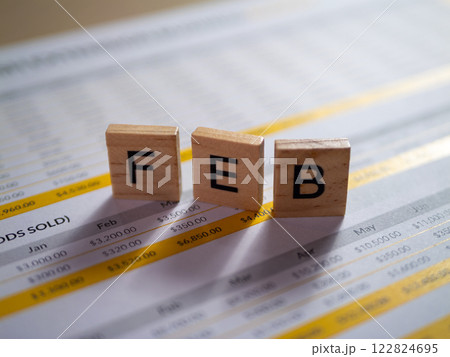 February financial insights office workspace document analysis & budgeting overview 122824695