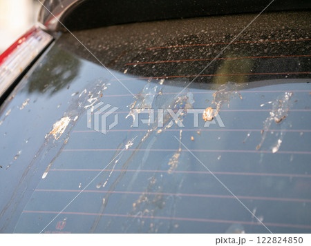 Car maintenance cleaning the rear window urban setting daytime close-up dirt removal 122824850