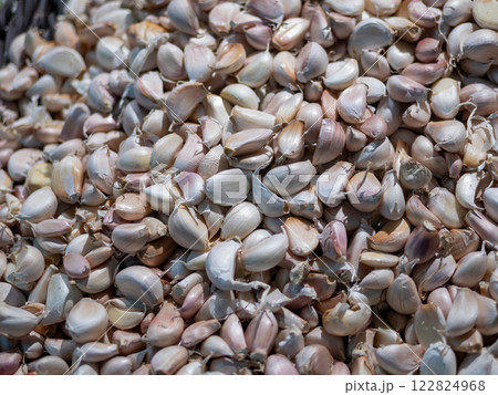 Harvesting garlic cloves local market food vibrant setting close-up view culinary delight Harvesting garlic cloves local market food vibrant setting close-up view culinary delight 122824968