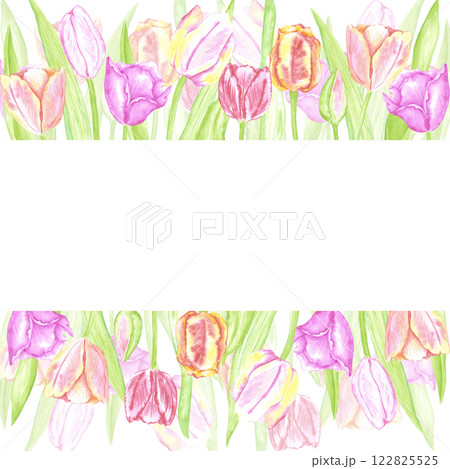 Hand drawn watercolor delicate tulips with green leaves frame border. Illustration of flowers isolated on white background. Can be used for postcard, invitation, scrapbook and other printed products. 122825525