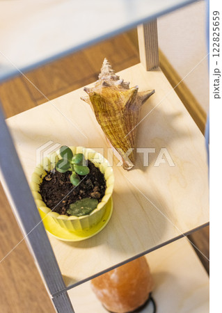Shot of the decorative, stylish shelf in the apartment 122825659
