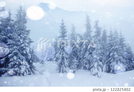 Mysterious winter landscape majestic mountains in winter. Magical winter snow covered tree. Photo greeting card. Bokeh light effect, soft filter. Carpathian. Ukraine. Europe Mysterious winter landscape majestic mountains in winter. Magical winter snow covered tree. Photo greeting card. Bokeh light effect, soft filter. Carpathian. Ukraine. Europe 122825802