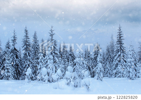 Mysterious winter landscape majestic mountains in winter. Magical winter snow covered tree. Photo greeting card. Bokeh light effect, soft filter. Carpathian. Ukraine. Europe 122825820