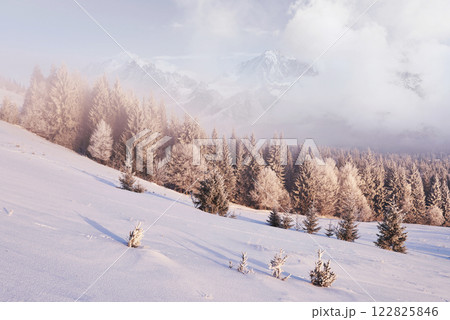 Sunny morning scene in the mountain forest. Bright winter landscape in the snowy wood, Happy New Year celebration concept 122825846
