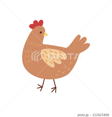Cute chicken vector clipart. Hand drawn chicken illustration on white background. Cute chicken vector clipart. Hand drawn chicken illustration on white background. 122825880