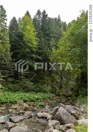 Mountain river rock in the forest. Green nature. Mountain river rock in the forest. Green nature. 122826166