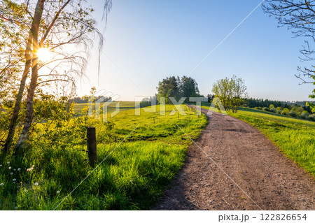 A tranquil rural road stretches through verdant fields under a bright blue sky. Sunlight filters through trees, creating a serene atmosphere perfect for leisurely walks or cycling. A tranquil rural road stretches through verdant fields under a bright blue sky. Sunlight filters through trees, creating a serene atmosphere perfect for leisurely walks or cycling. 122826654