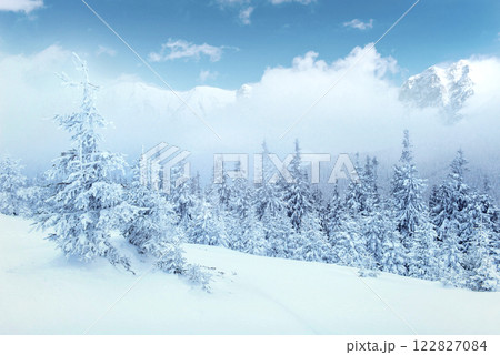 Mysterious winter landscape majestic mountains in the winter. Nice thick fog. Magical winter snow covered tree. Photo cards. light effect bokeh, soft filter. Carpathian. Ukraine. 122827084
