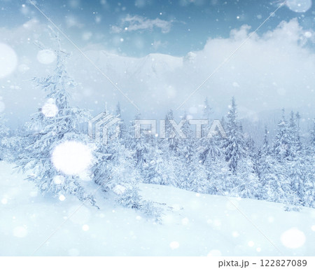 Mysterious winter landscape majestic mountains in the winter. Nice thick fog. Magical winter snow covered tree. Photo cards. light effect bokeh, soft filter. Carpathian. Ukraine. 122827089