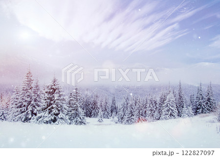 Mysterious winter landscape majestic mountains in the winter. Nice thick fog. Magical winter snow covered tree. Photo cards. light effect bokeh, soft filter. Carpathian. Ukraine. 122827097
