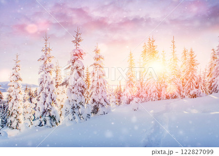 Mysterious winter landscape majestic mountains in winter. Magical winter snow covered tree. Photo greeting card. Bokeh light effect, soft filter. Carpathian. Ukraine. 122827099