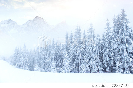 Mysterious winter landscape majestic mountains in the winter. Nice thick fog. Magical winter snow covered tree. Photo cards. light effect bokeh, soft filter. Carpathian. Ukraine. Mysterious winter landscape majestic mountains in the winter. Nice thick fog. Magical winter snow covered tree. Photo cards. light effect bokeh, soft filter. Carpathian. Ukraine. 122827125