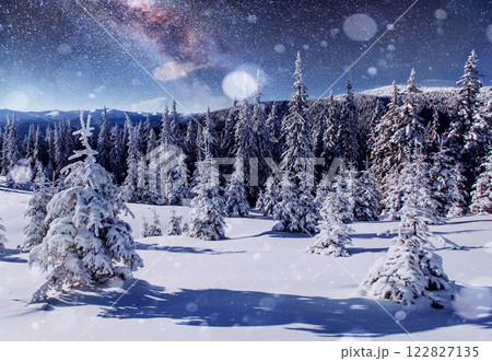 starry sky in winter snowy night. fantastic milky way in the New Year's Eve. Starry sky snowy winter night. The Milky Way is a fantastic New Year's Eve 122827135