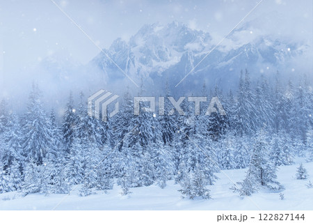 Mysterious winter landscape majestic mountains in winter. Magical winter snow covered tree. Photo greeting card. Bokeh light effect, soft filter. Carpathian. Ukraine. 122827144