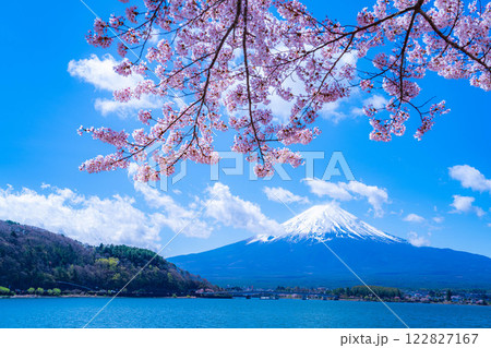 【桜と富士山】桜が満開の河口湖北岸から見た富士山【山梨県】 122827167