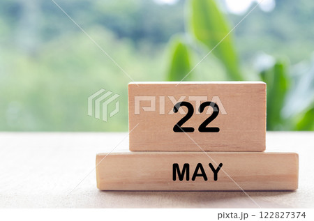 22 May text on wooden blocks with customizable space for text or messages. Month and copy space concept 122827374