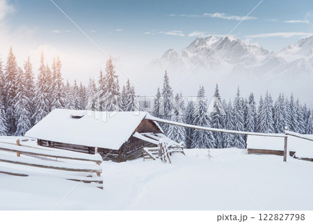 Cozy wooden hut high in the snowy mountains. Great pine trees on the background. Abandoned kolyba shepherd. Cloudy day. Carpathian mountains, Ukraine, Europe 122827798
