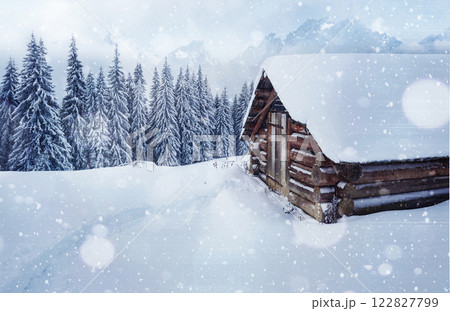 Cozy wooden hut high in the snowy mountains. Great pine trees on the background. Abandoned kolyba shepherd. Cloudy day. Carpathian mountains, it is snowing. Ukraine, Europe Cozy wooden hut high in the snowy mountains. Great pine trees on the background. Abandoned kolyba shepherd. Cloudy day. Carpathian mountains, it is snowing. Ukraine, Europe 122827799