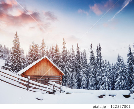 Cozy wooden hut high in the snowy mountains. Great pine trees on the background. Abandoned kolyba shepherd. Cloudy day. Carpathian mountains, it is snowing. Ukraine, Europe 122827801