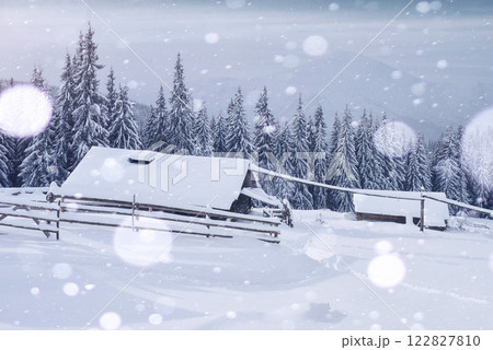 Cozy wooden hut high in the snowy mountains. Great pine trees on the background. Abandoned kolyba shepherd. Cloudy day. Carpathian mountains, it is snowing. Bokeh light effect, soft filter Cozy wooden hut high in the snowy mountains. Great pine trees on the background. Abandoned kolyba shepherd. Cloudy day. Carpathian mountains, it is snowing. Bokeh light effect, soft filter 122827810