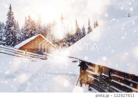 Cozy wooden hut high in the snowy mountains. Great pine trees on the background. Abandoned kolyba shepherd. Cloudy day. Carpathian mountains, it is snowing. Bokeh light effect, soft filter 122827811